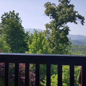 Meet your Posher, Dionne